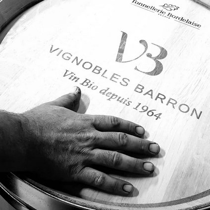 Vignobles Barron depuis 1964